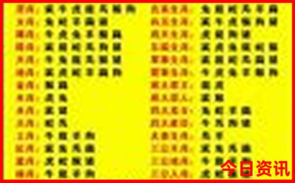 炎热夏天适合去哪玩